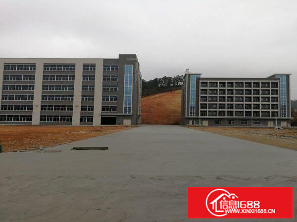 本公司专业代理仲恺高新区整栋，地皮或厂房租售买卖，