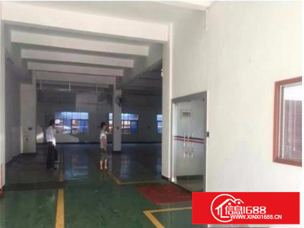 横沥恒泉原房东标准一楼厂房2000平有精装办公室，可分租