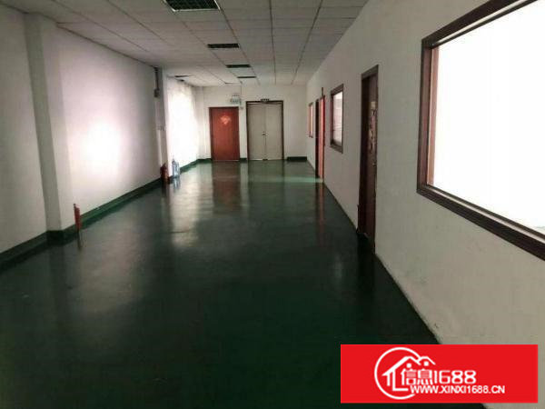 出租龙岗区龙东精品独院厂房1450平方一楼5米高水电齐全