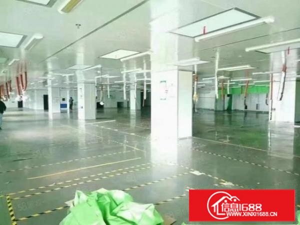 长安沙头新出楼上无尘洁净车间1500平