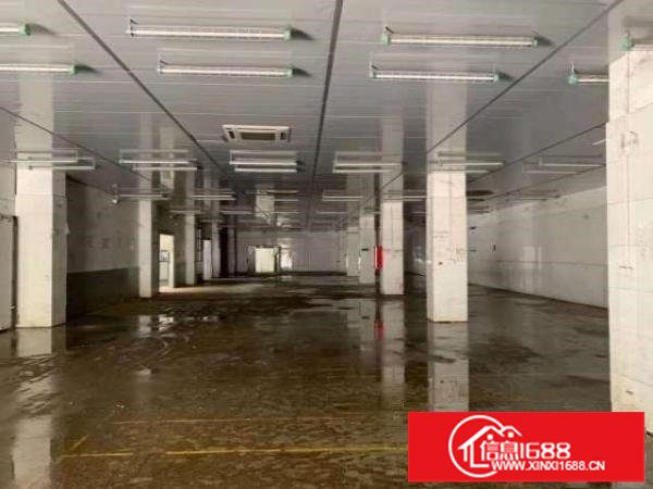 平湖海吉星附近3600平整栋食品，冷链配送厂房出租，冷库多