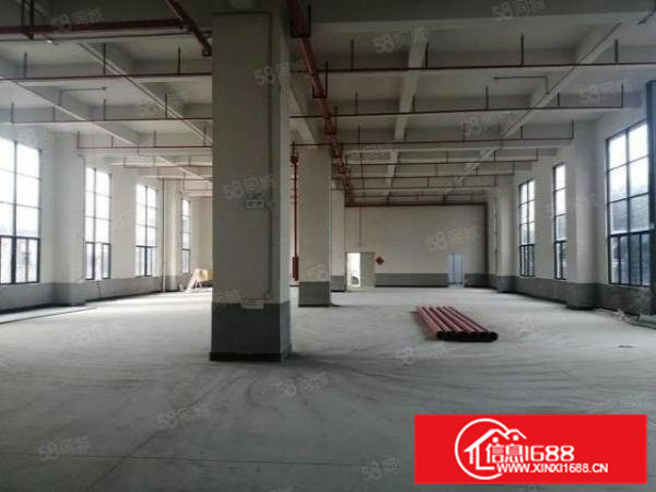 虎门临环莞快速新出全新新建厂房15层1万平独门独院出租