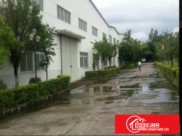 凤岗五联单一层钢构3500平厂房出租价格低精装修