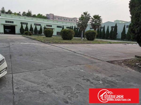 横沥镇原房东低价滴水12米钢构厂房出租