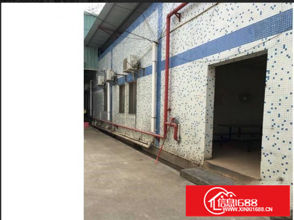 常平桥沥新出客户分租单一层1600平方厂房出租