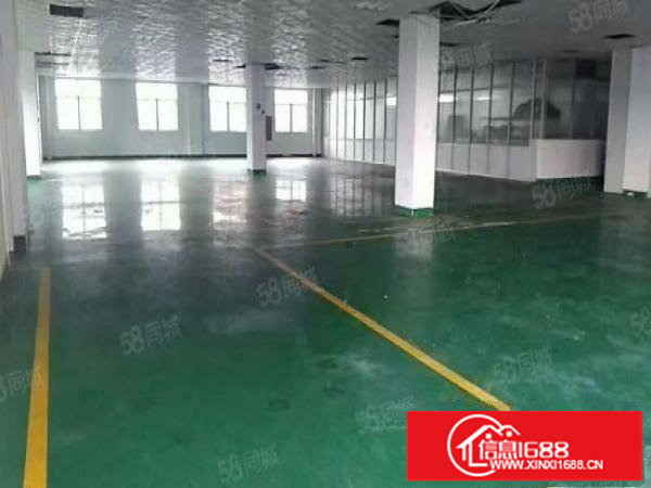 布吉丹竹头地铁站2400平米楼上豪华装修厂房出租，可分租