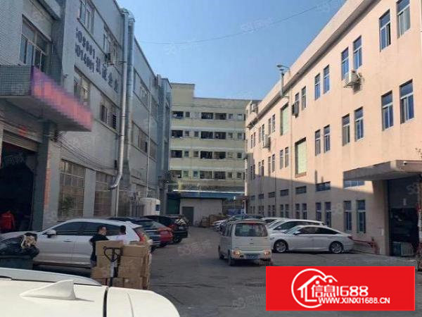 6米高钢构厂房，房东直接出租。面积可测量450平方