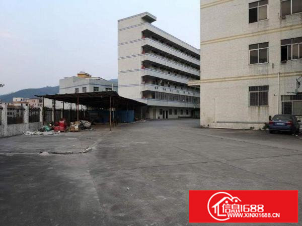 横岗原房东独院厂房出租14000平有红本有喷淋空地超大交通好