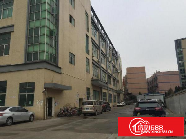 观澜松元环观中路边一楼6米高标准厂房报价28