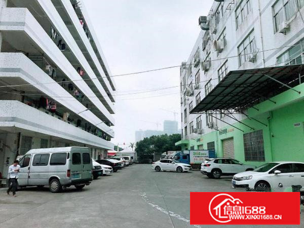 横岗安良大康400平厂房出租;原房东;带办公室装修好