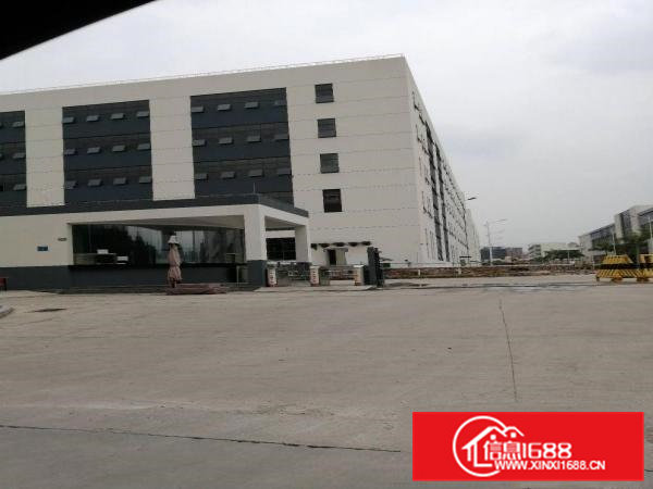 免租12个月！免租12个月！全新豪华装修厂房出租啦！