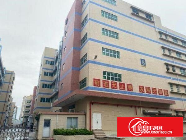 沙井镇沙一大型工业园楼上一整层2500平方带豪华装修出租