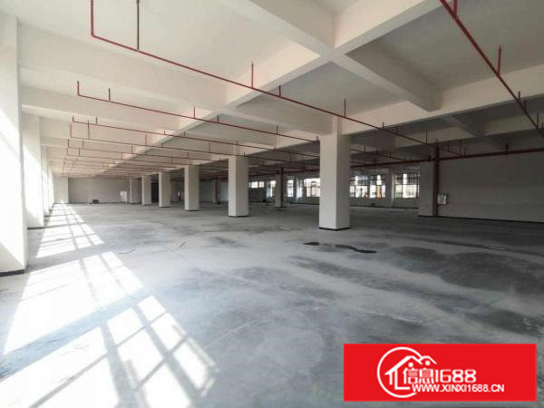 寮步竹园原房东标准独院厂房分租一楼1000平方层高6米.