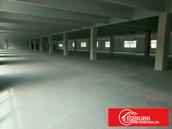 钢构独院出租3250平方滴水7米