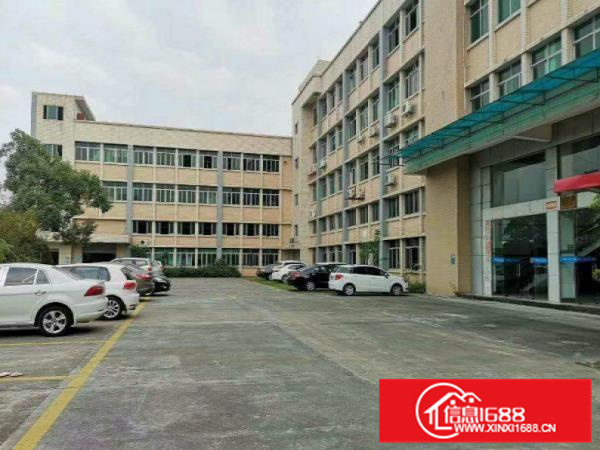 欢迎看房喝茶！园洲禾山村空出1楼2530平精装地坪漆厂房