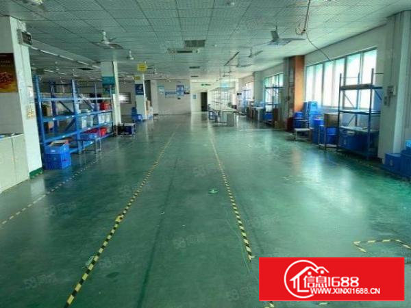 沙井新桥精装厂房出租900平方1200平