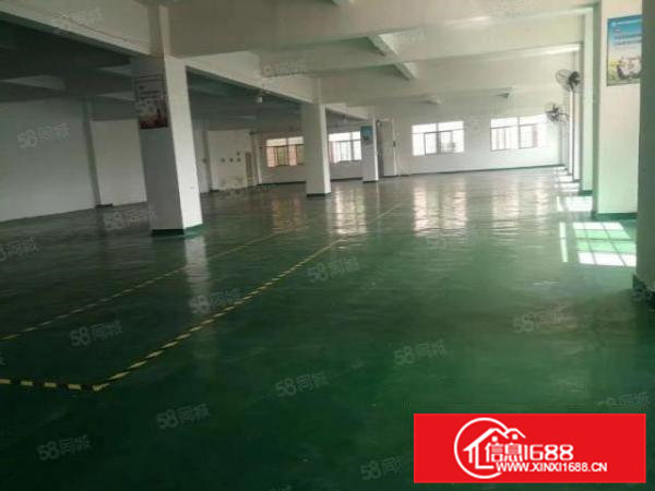 大朗精装修厂房650平