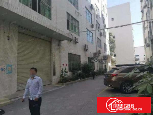 虎门大宁社区一楼650平厂房出租带装修独立办公室