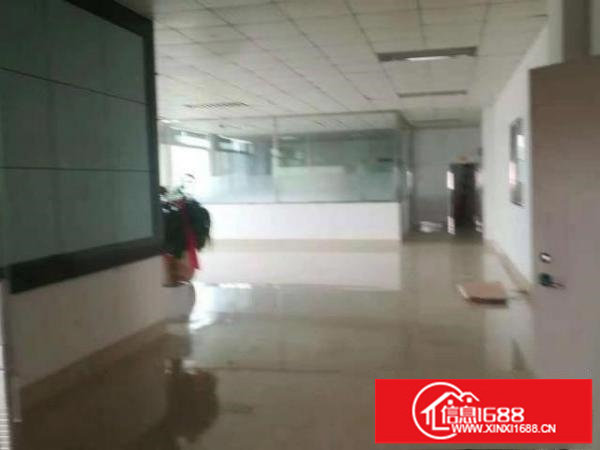 龙华大型工业区独栋厂房可进大车环境好价格实惠行业不限