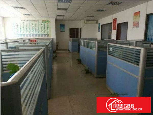 大岭山新出工业区一楼600平厂房带办公室装修