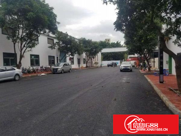 龙华观澜新出独栋厂房51000平