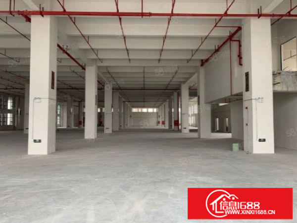 出租顺德容桂区6000平独门独院标准厂房出租.带