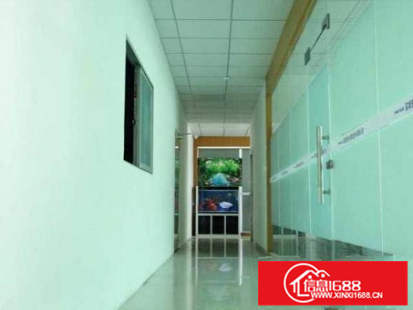 出租龙华区大浪商业中心附近