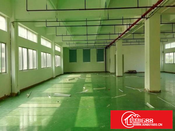 卢边独院厂房分租楼上。2000平方，单层1000平方