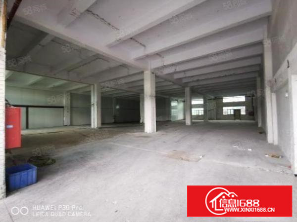 沙井西环路北环路共和工业区1楼1200平高6米生产仓库