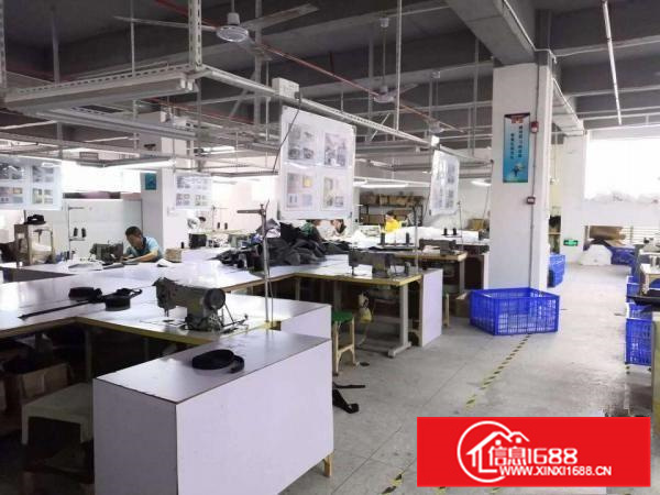 惠阳工业园新出带装修12楼1500可分层租