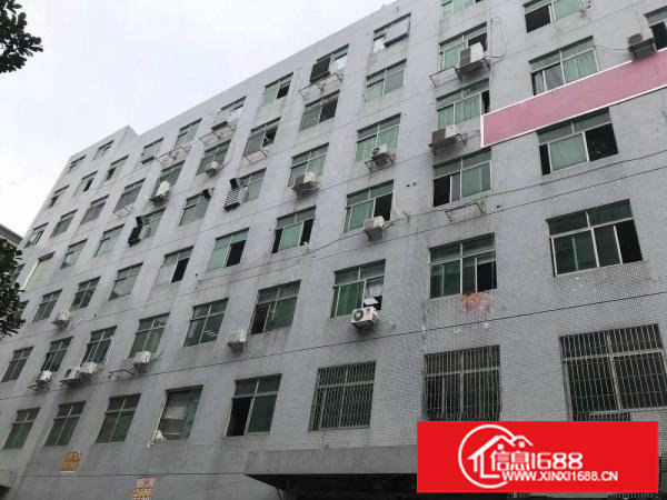 坂田上雪科技园900平厂房招租（主干道旁/直租/可分租）