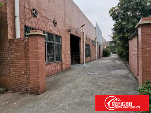 狮山招大新出500平水电齐全原房东厂房出租