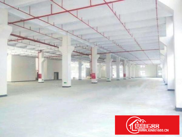 沙头全新厂房，空地超大，红本可办环评