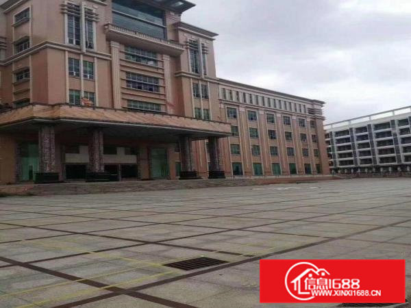 大朗独院厂房出租大小可分租