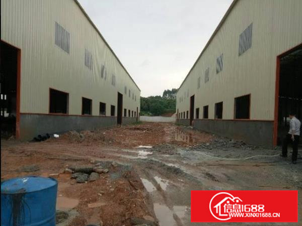 常平新建10米高单一层8800平方独院厂房招租