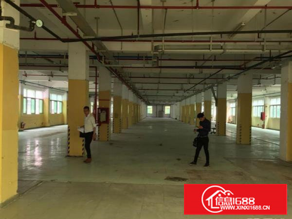 塘厦原房东独门独院2800平厂房带消防喷淋无公摊