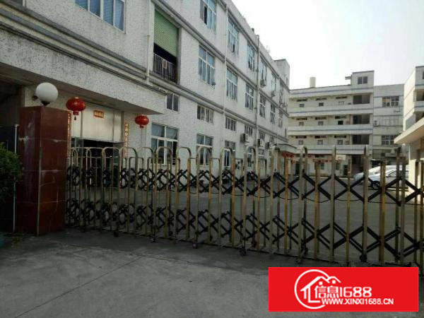 坪地6米高标准一楼厂房1000平方米出租（可分租）