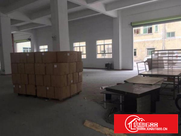 6米高！科苑城近大坪高速800平方米标准一楼厂房出租