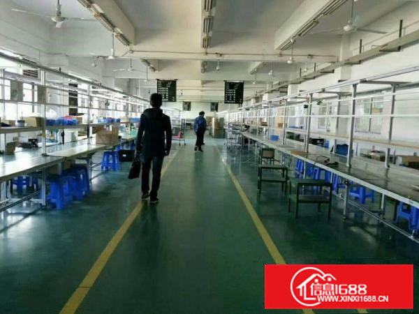 清溪近塘厦三楼整层1400平方厂房带精装修可做电池