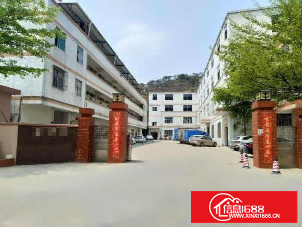 秋长950平红本厂房带消防有电梯带精装修