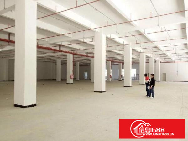 凤岗全新6.5高一楼2850平方直租