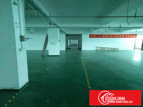 出租坂田2楼整层1500平米红本厂房