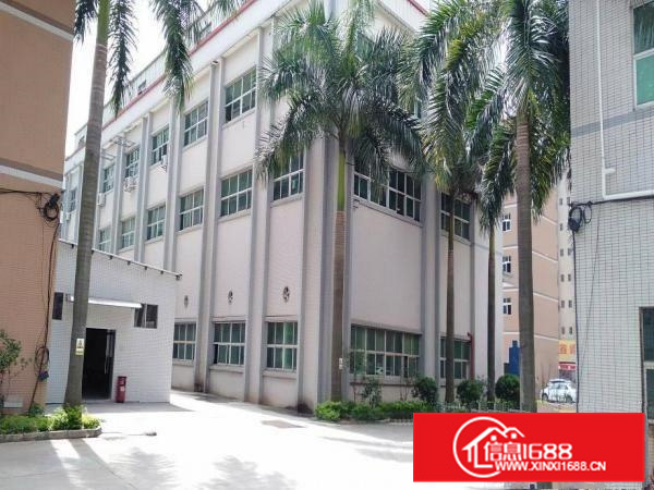 白石工业园标准厂房四楼出租2000平方带现成装修