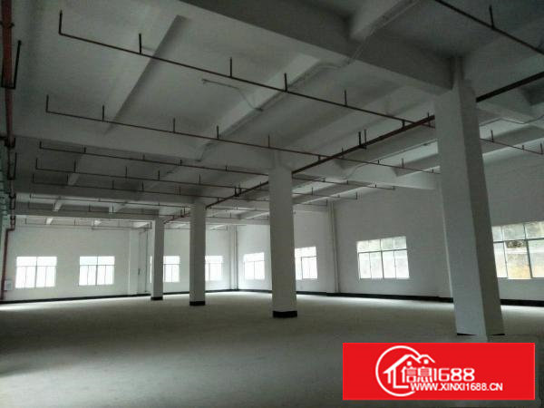 东莞塘厦田心2000平方一楼出租