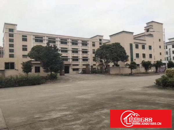 大朗镇区厂房800平米