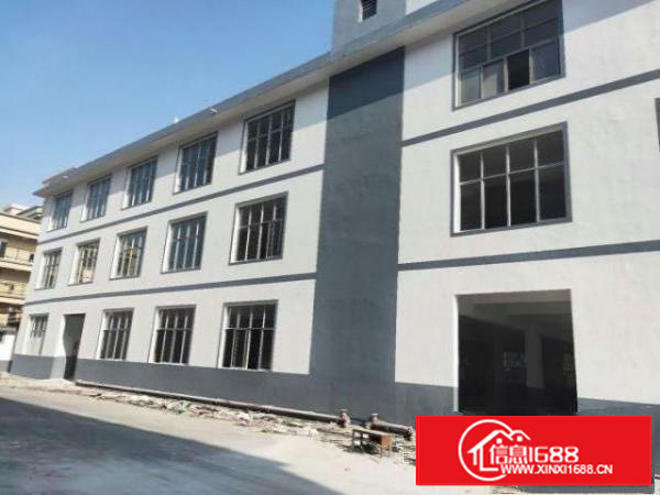 万江5000平方标准独院3层花园式厂房招租