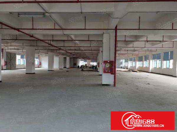 （公明蒋石楼上整层2400平有消防喷淋，可分租，配套齐全）