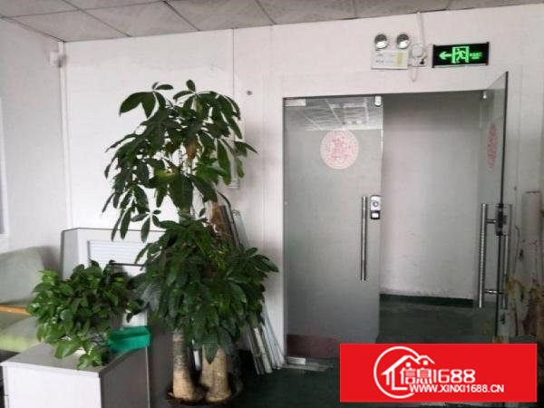 龙岗区坪地出租楼上带精装修230平，有地坪漆和吊顶