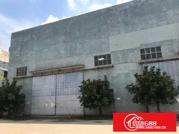 6000方厂房出租---南海九江镇金属市场