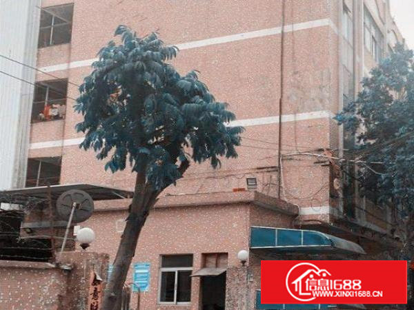 高速路口，新出标准厂房，配套齐全，价格实惠